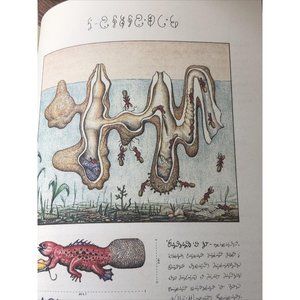 Luigi Serafini Codex Seraphinianus Print 81
